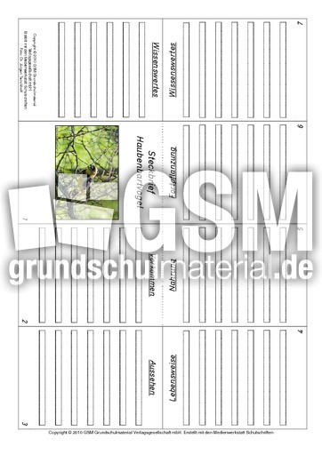 Faltbuch-Haubenbartvogel.pdf